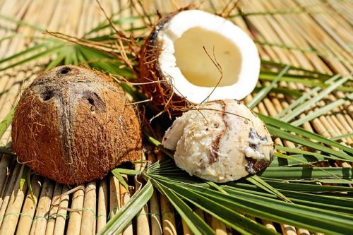 ココナッツcoconut-1501392_640