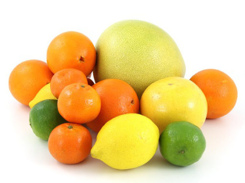 フルーツfruit-15408_640