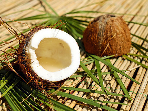 coconut ココナッツ