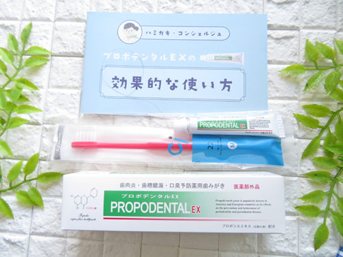 歯周病専用薬用歯磨き粉プロポデンタルEX